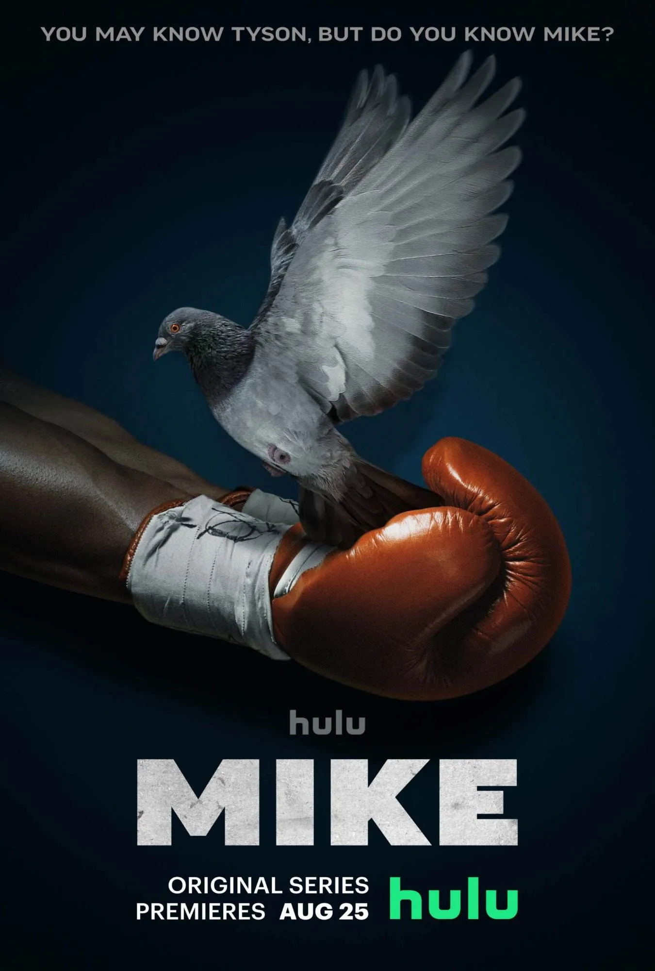 Hulu presents mike [official web series promo poster]