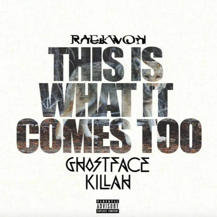 Raekwon - This Is What It Comes Too (Remix) [Track Artwork]