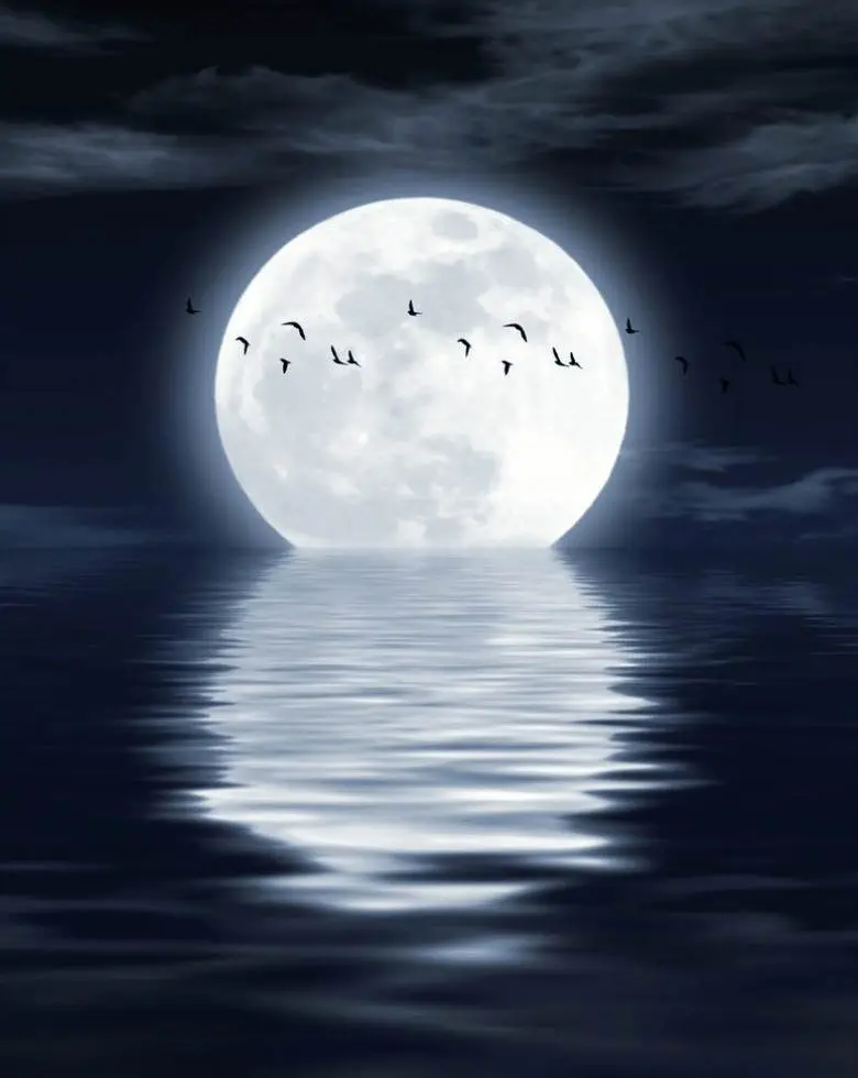MP3: @Rellativity_ aka #RellaMar » MoonLight