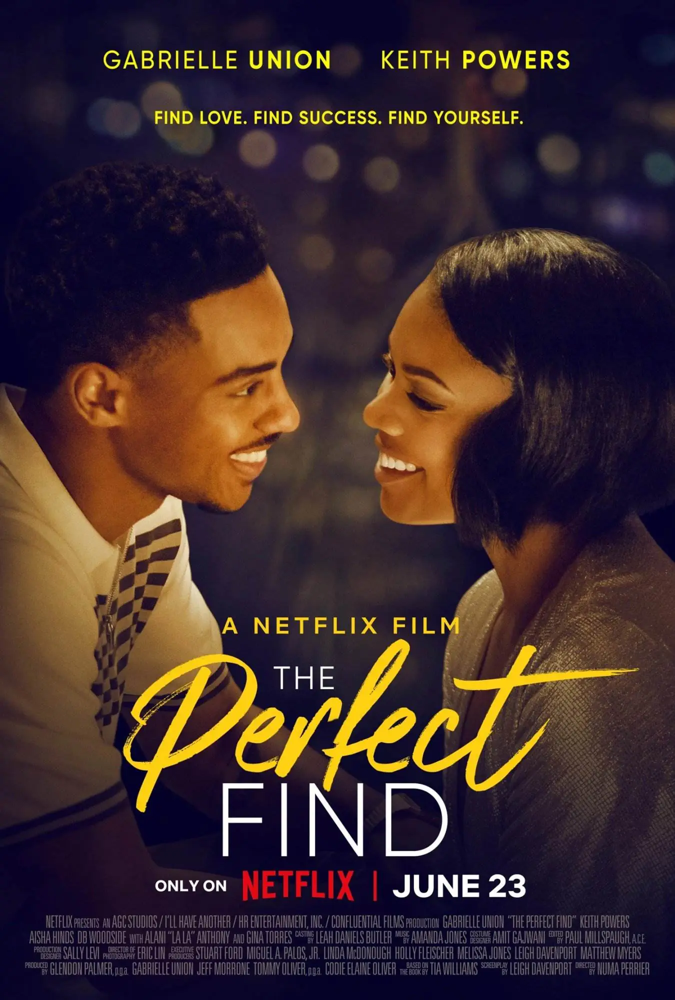 Netflix presents the perfect find [official movie promo poster]