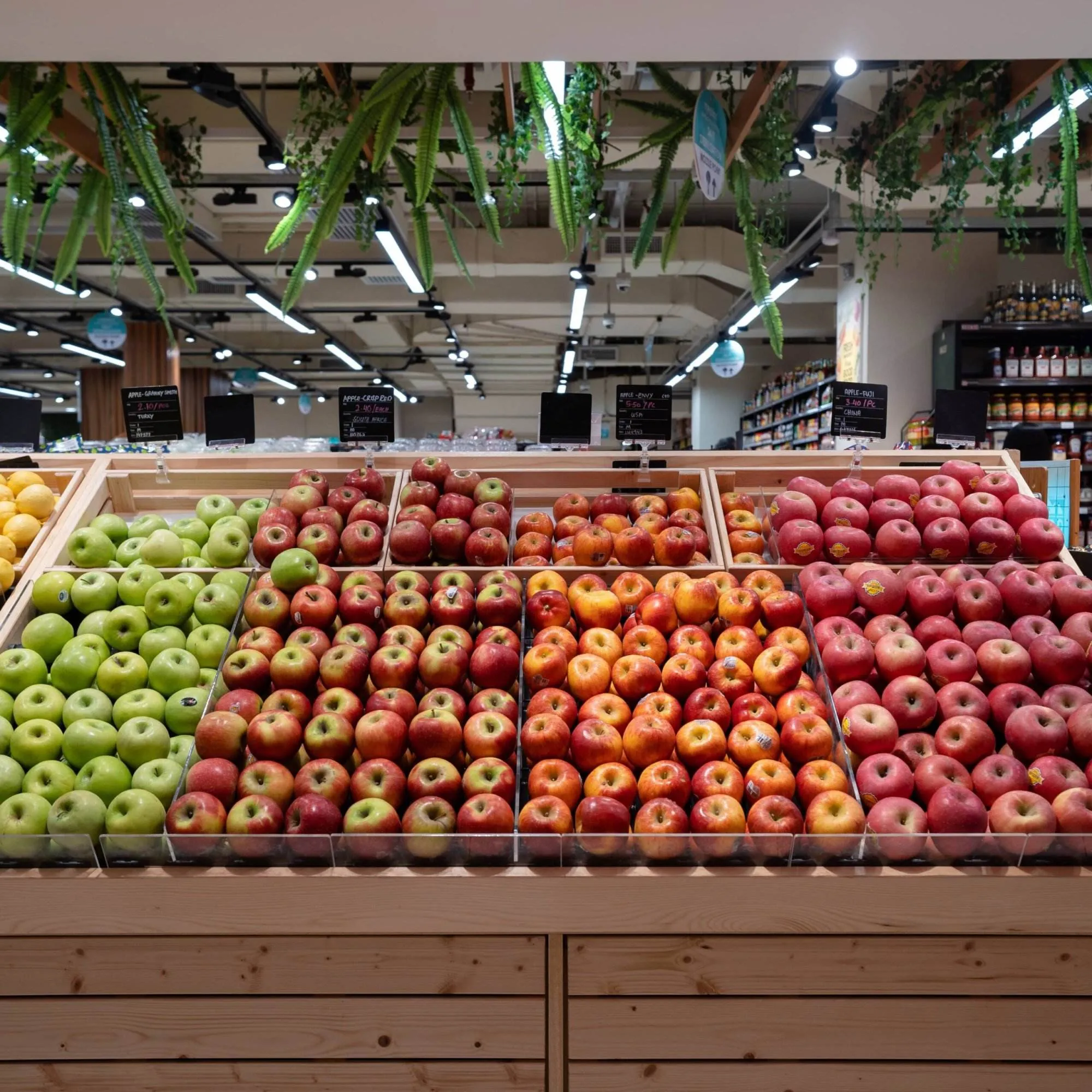 A produce display contains several different types of apples. Lemons and oranges are next to the apples.