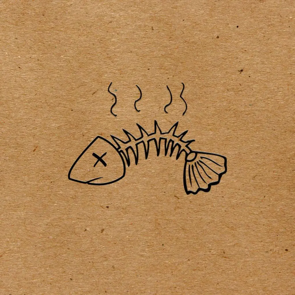 Apollo Brown & Planet Asia - Anchovies [Album Artwork]