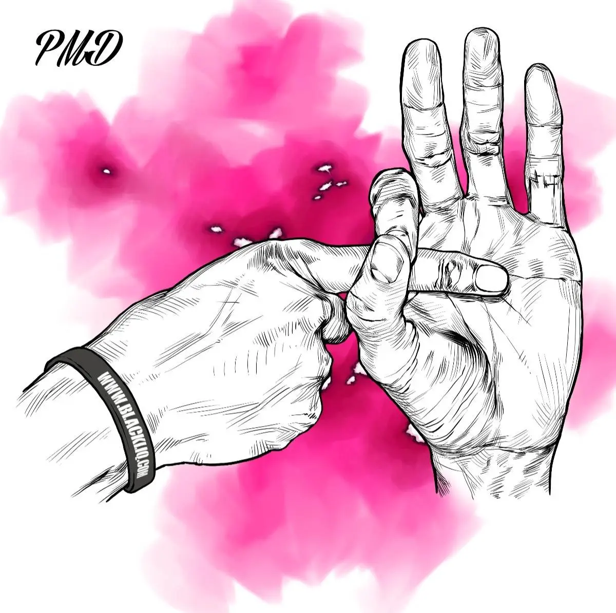 Blackliq pmd [official mp3 artwork]
