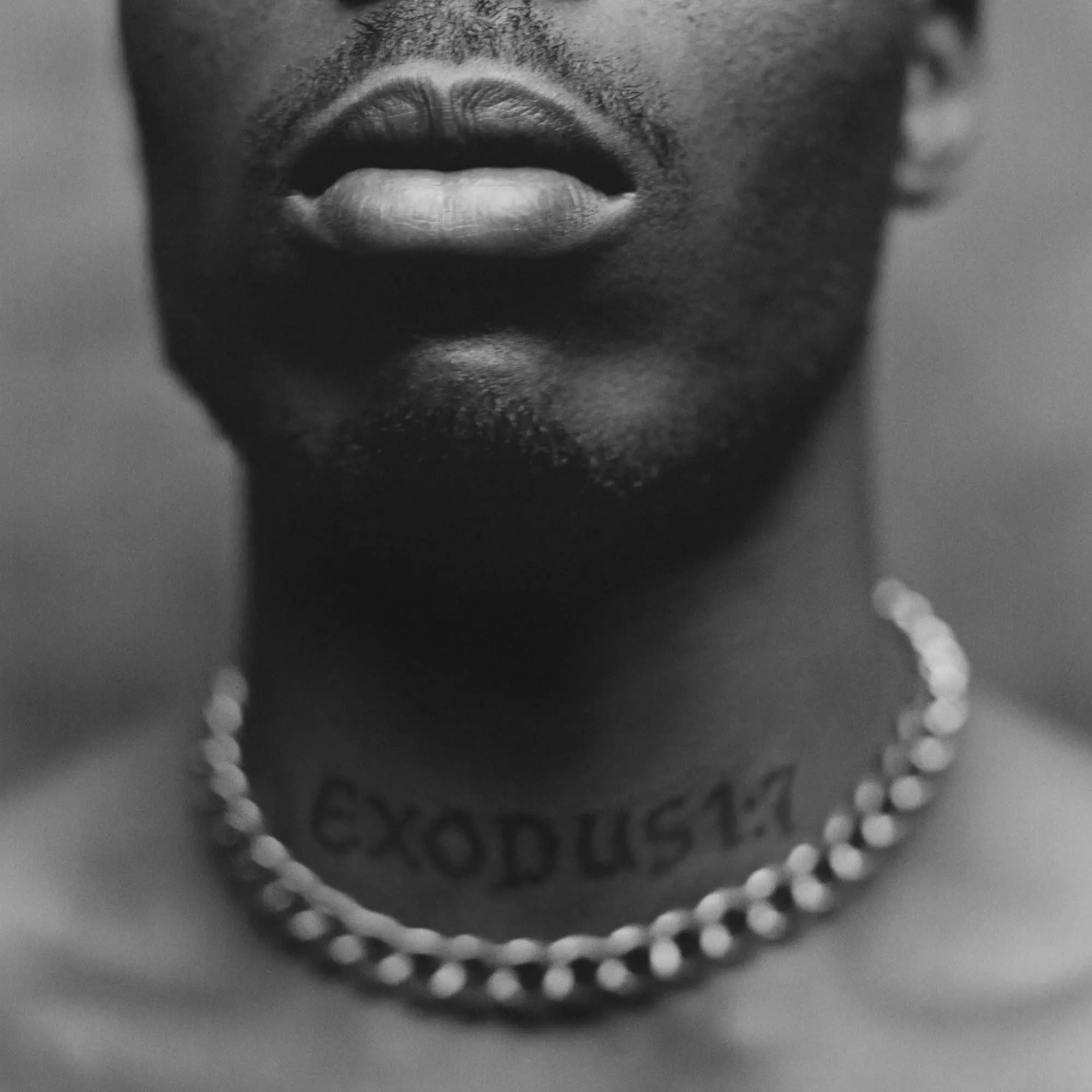 Dmx exodus [album artwork]