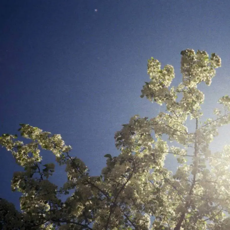 EP: @iNDiG0HiGH & 1618 » Forever Begins