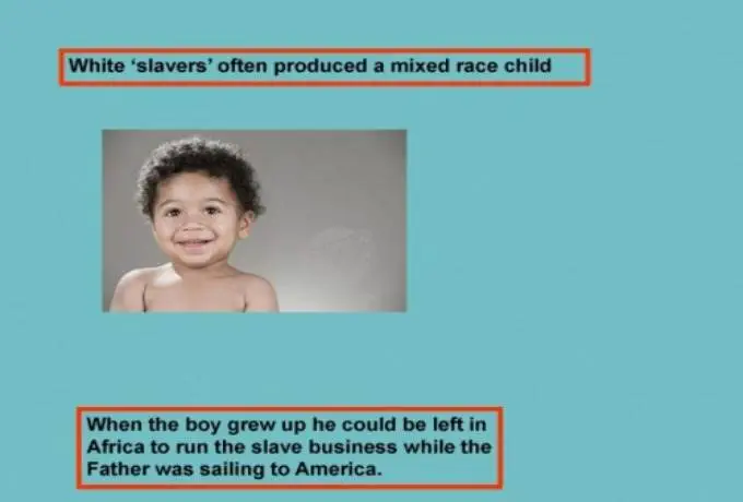 A Business Plan To Enslave Africans???