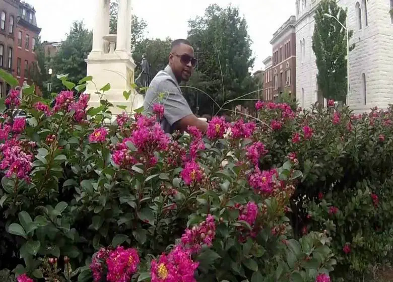 Video: @Wordsmith » Its 5am Smell The Roses (Prod. @Shane_Eli) [Preview]