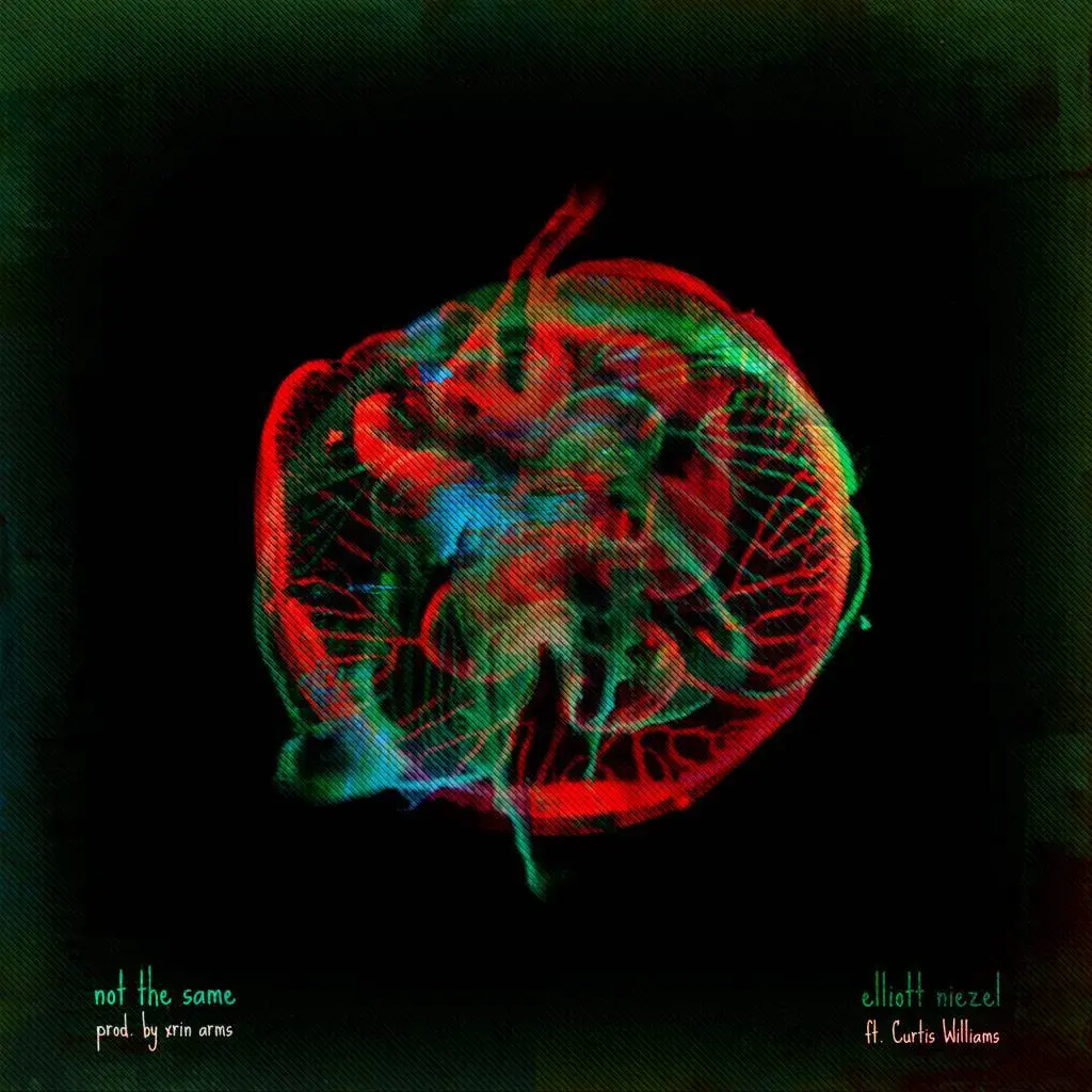 Elliott Niezel - Not The Same [Track Artwork]