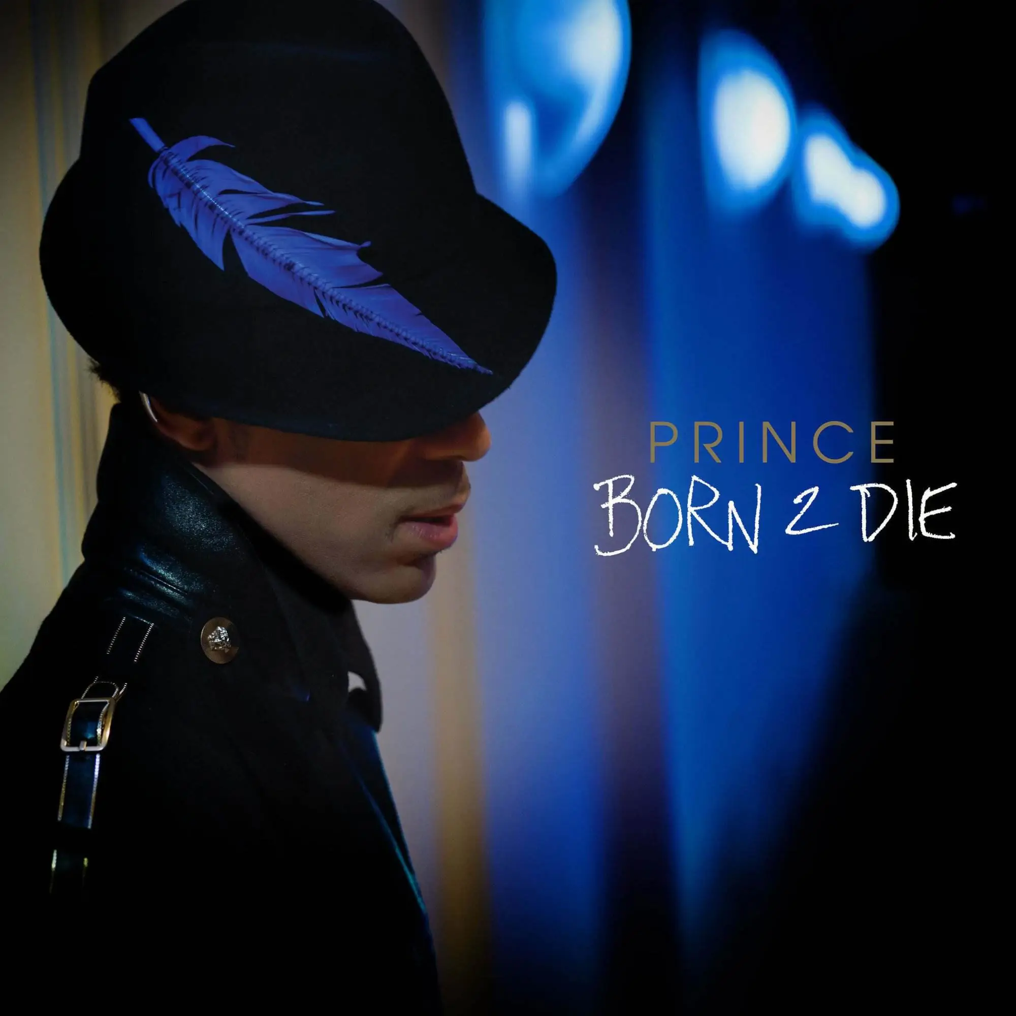 Prince born 2 die [mp3 artwork]