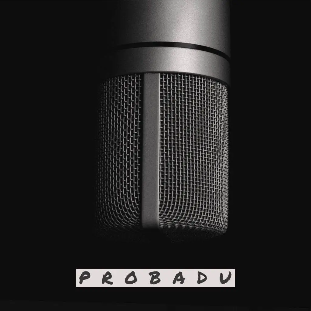 Pro status x dj fes one probadu, part 1 [ep artwork]