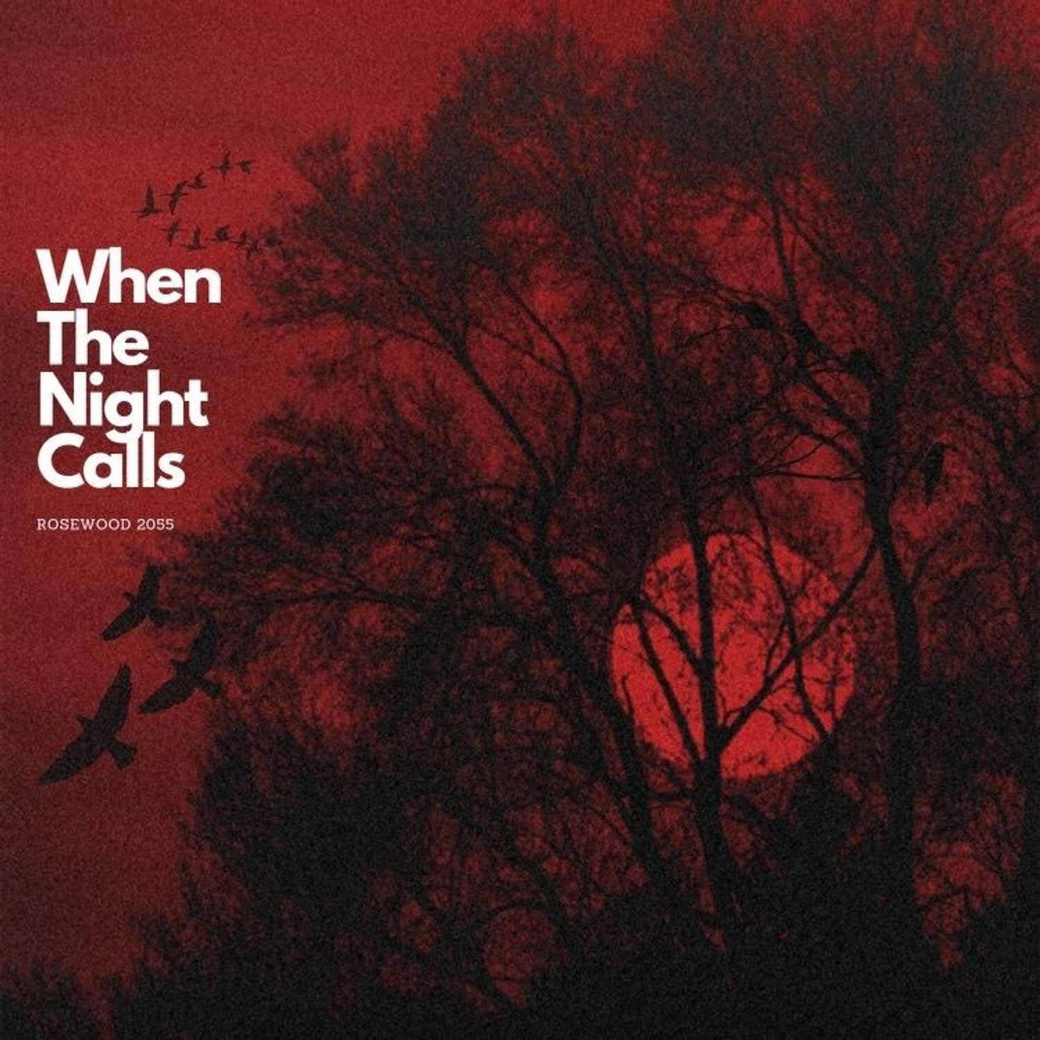 Rosewood 2055 when the night calls [official ep artwork]