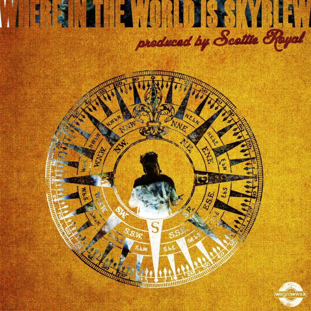 Question: 'Where In The World Is SkyBlew (@HeySkyBlew)?'