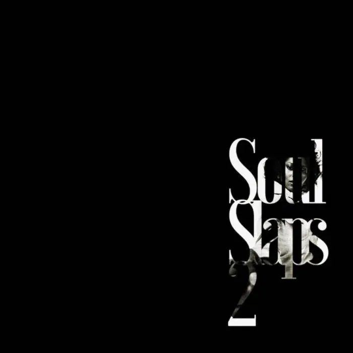 The Audible Doctor - Soul Slaps 2 [Beat Tape Artwork]