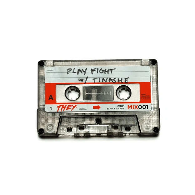They. play fight [mp3 artwork]