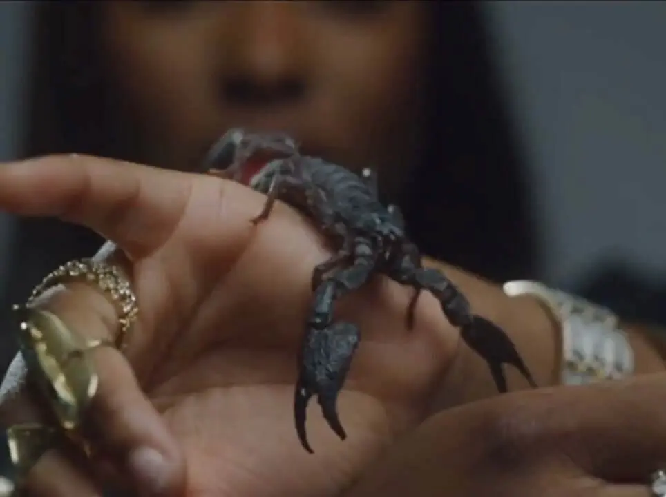 Tolani f.o.t.m. (fire on the mountain) [1st music video clip]