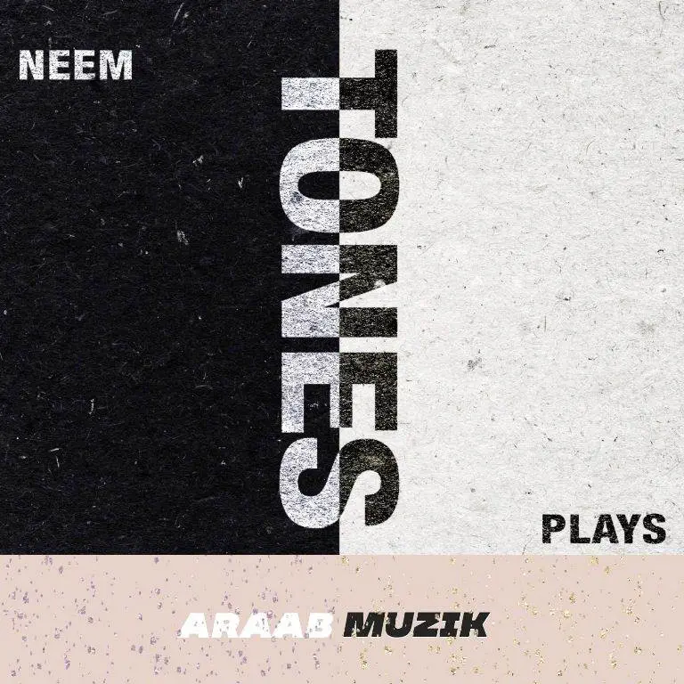 Araabmuzik, plays, & neem tones [album artwork]