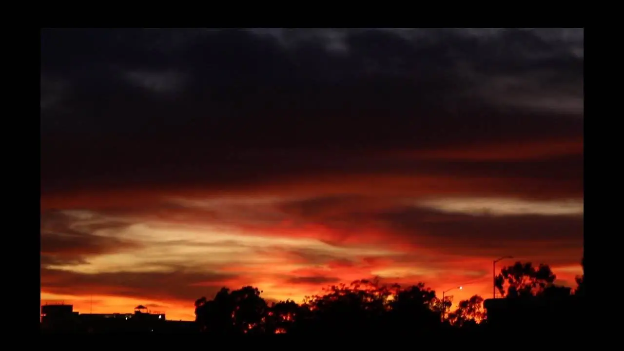 Vicee Octla Hd